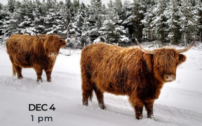 Inner Circle Live — Christmas Tunes