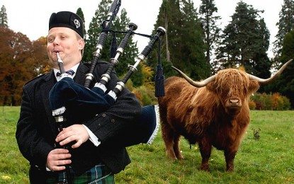 Callum Beaumont: Two 6/8s (Games Day at Aboyne & Pipe Major Donald MacLean of Lewis)